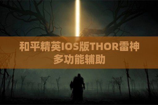 和平精英IOS版THOR雷神多功能辅助