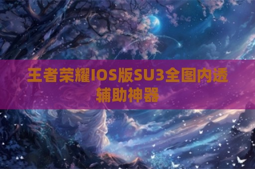 王者荣耀IOS版SU3全图内透辅助神器