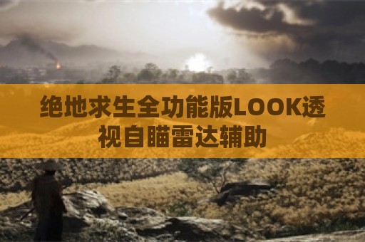 绝地求生全功能版LOOK透视自瞄雷达辅助