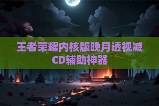 王者荣耀内核版晚月透视减CD辅助神器