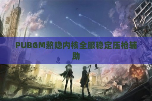 PUBGM熬隐内核全服稳定压枪辅助