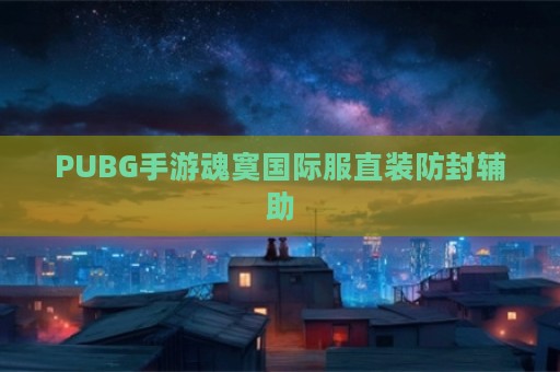 PUBG手游魂寞国际服直装防封辅助