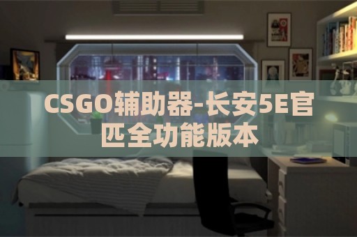 CSGO辅助器-长安5E官匹全功能版本