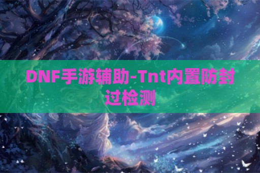 DNF手游辅助-Tnt内置防封过检测