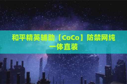 和平精英辅助【CoCo】防禁网纯一体直装