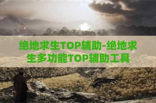 绝地求生TOP辅助-绝地求生多功能TOP辅助工具