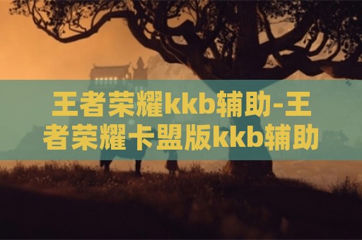 王者荣耀kkb辅助-王者荣耀卡盟版kkb辅助科技