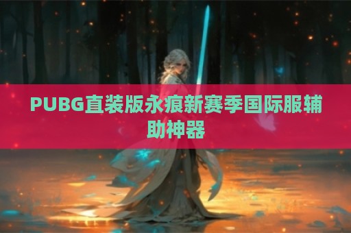 PUBG直装版永痕新赛季国际服辅助神器