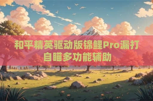 和平精英驱动版锦鲤Pro漏打自瞄多功能辅助