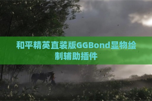 和平精英直装版GGBond显物绘制辅助插件